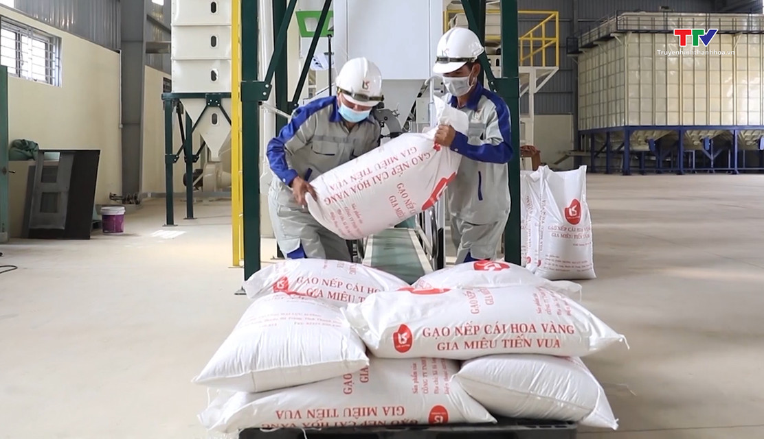 Đóng gói gạo bằng bao bì PP